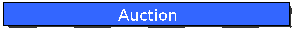 Auction