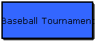 Baseball Tournament